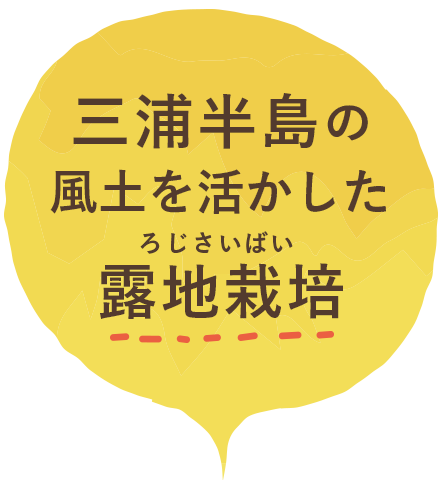 ミトミ農園について