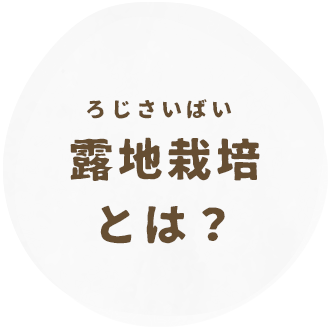 露地栽培とは