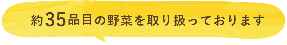 約35品目の野菜を取り扱っております
