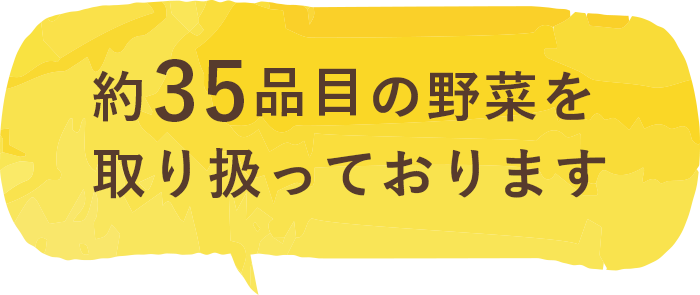 約35品目の野菜を取り扱っております